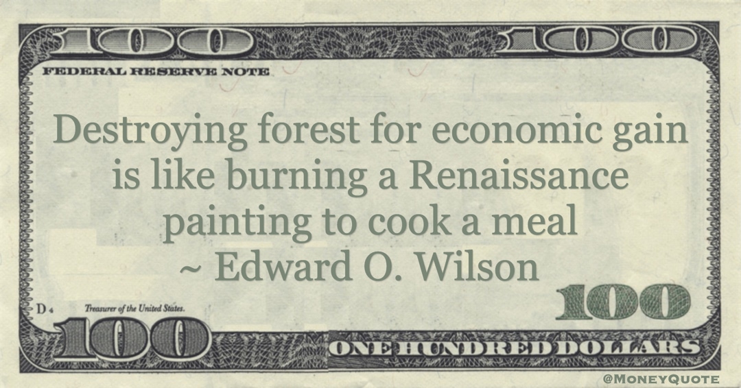 Destroying forest for economic gain is like burning a Renaissance painting to cook a meal Quote