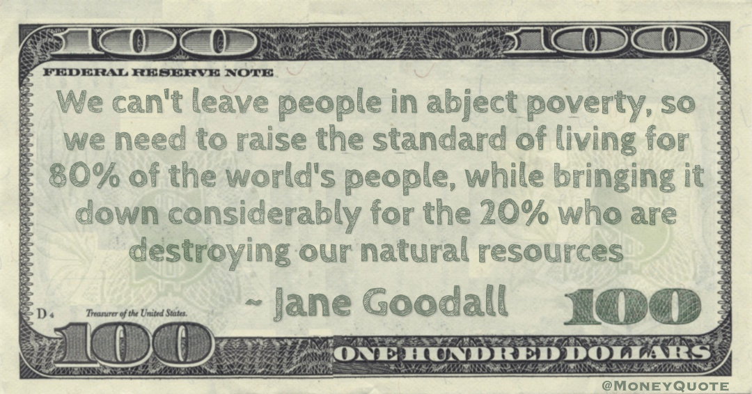 We can't leave people in abject poverty, so we need to raise the standard of living for 80% of the world's people, while bringing it down considerably for the 20% who are destroying our natural resources Quote